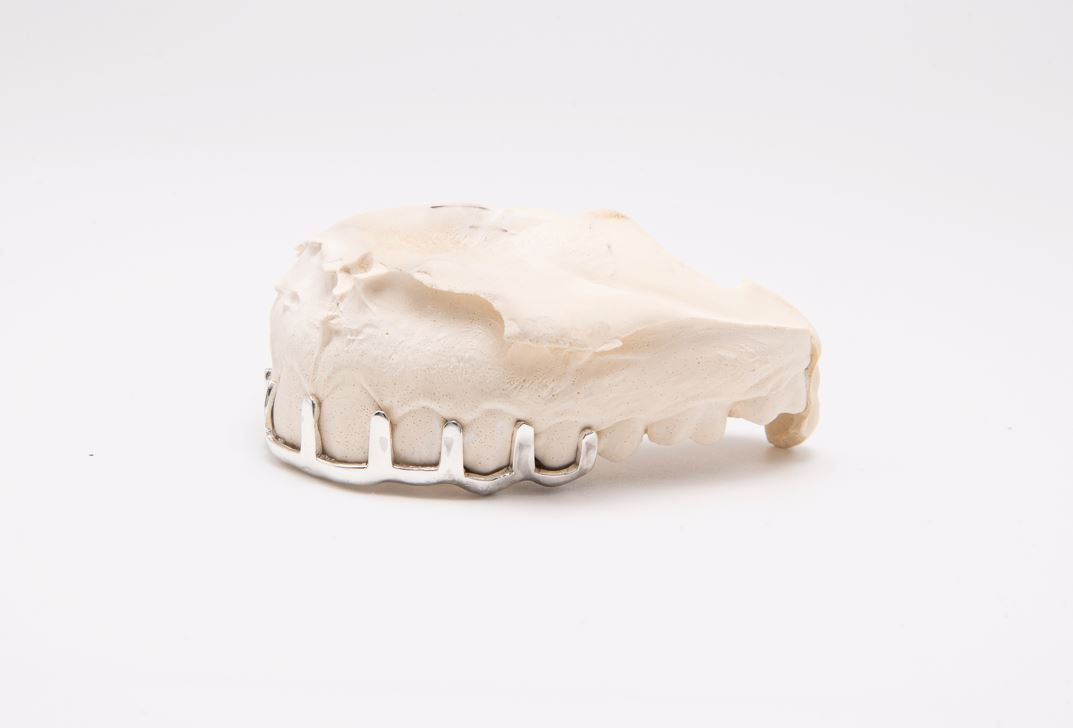The Convict - Sterling Silver 9 Bar Teeth