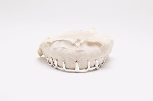 The Convict - Sterling Silver 9 Bar Teeth