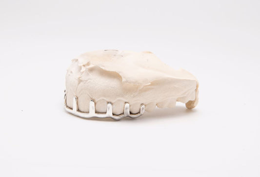 The Convict - Sterling Silver 9 Bar Teeth